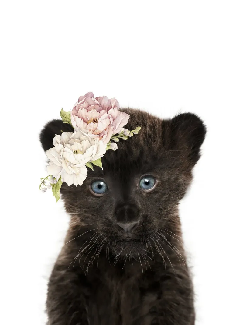 Floral Baby Panther acrylic glass by Lila x Lola