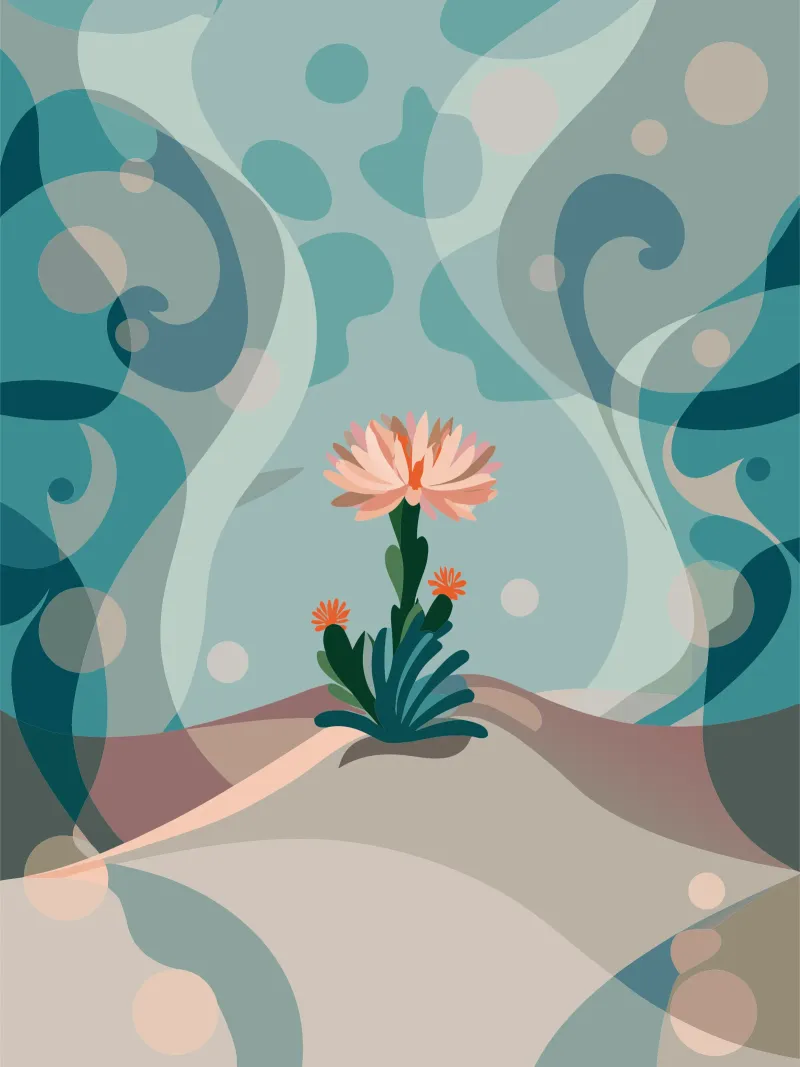 Piante di cactus da fiore pellicola backlit da HAPPY SHOP