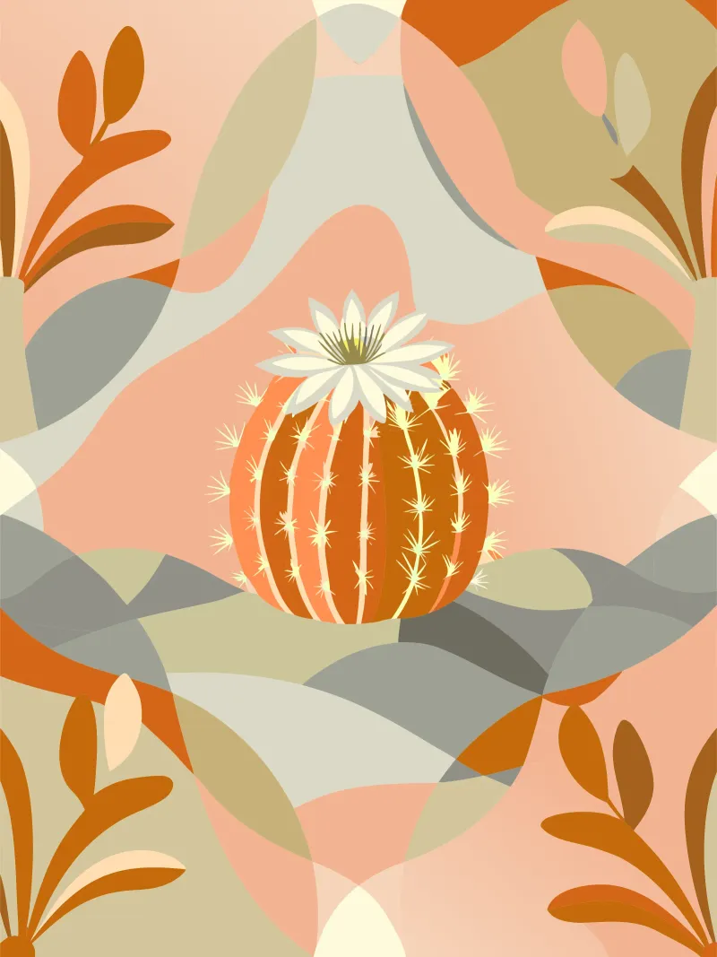 Piante di cactus plexiglass da HAPPY SHOP