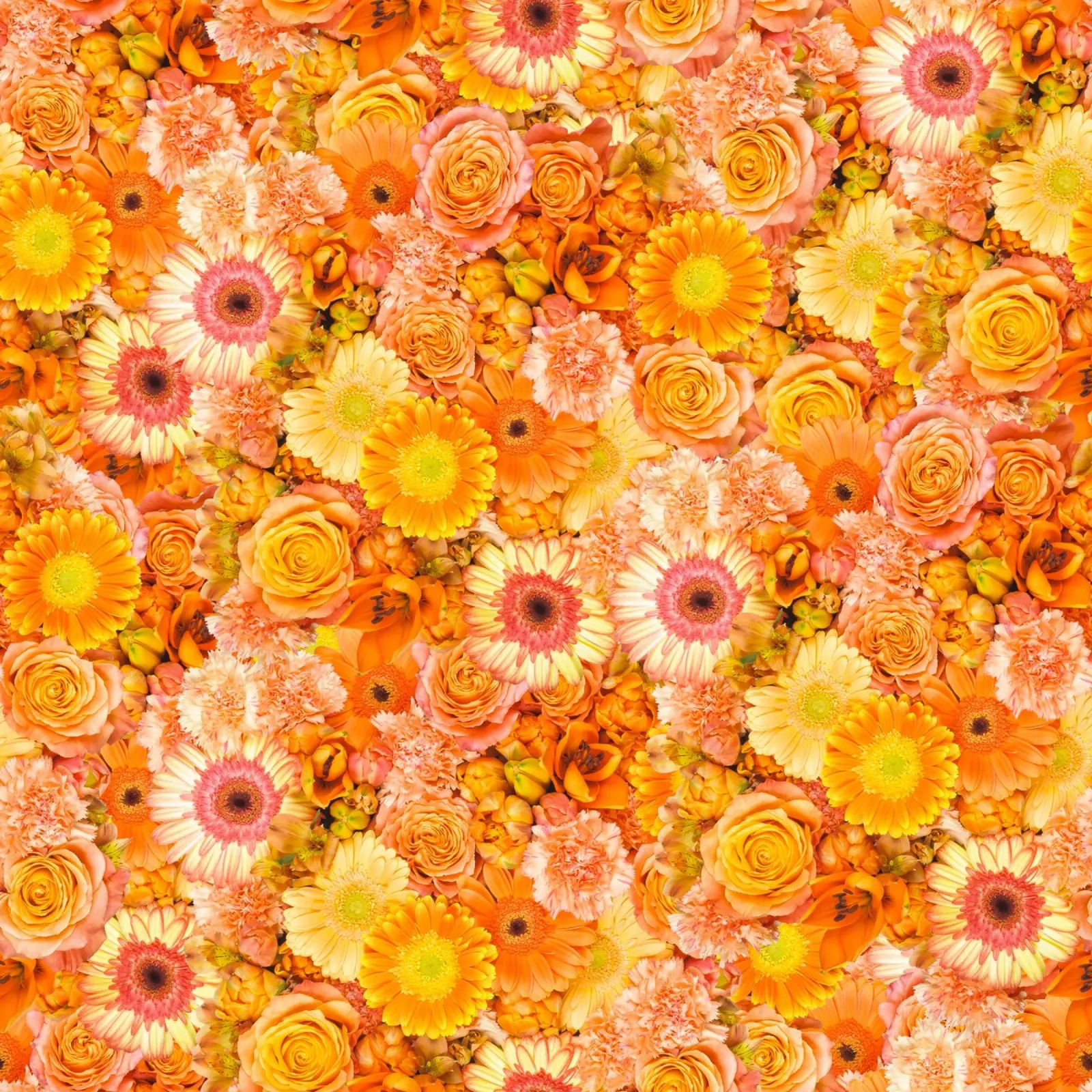 Bouquet di fiori arancione brillante poster con telaio in alluminio da Curious Collections by Marielle Leenders