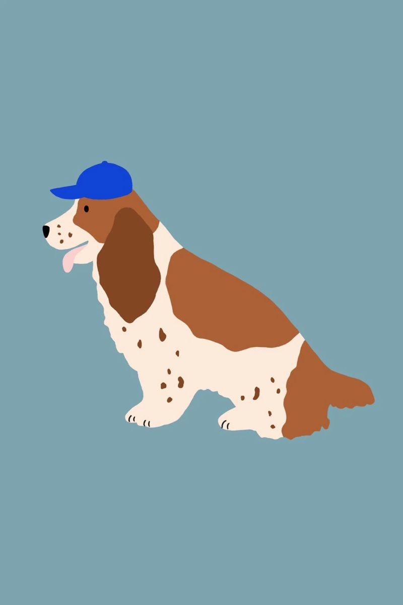 Cocker Spaniel with Blue cap poster by Maren Gross