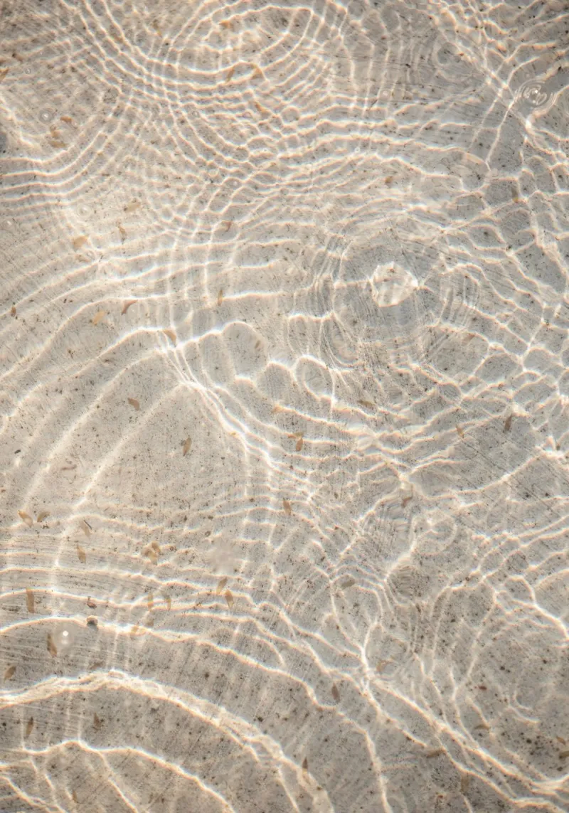 Reflections 4 alluminio dibond da Mareike Böhmer Photography