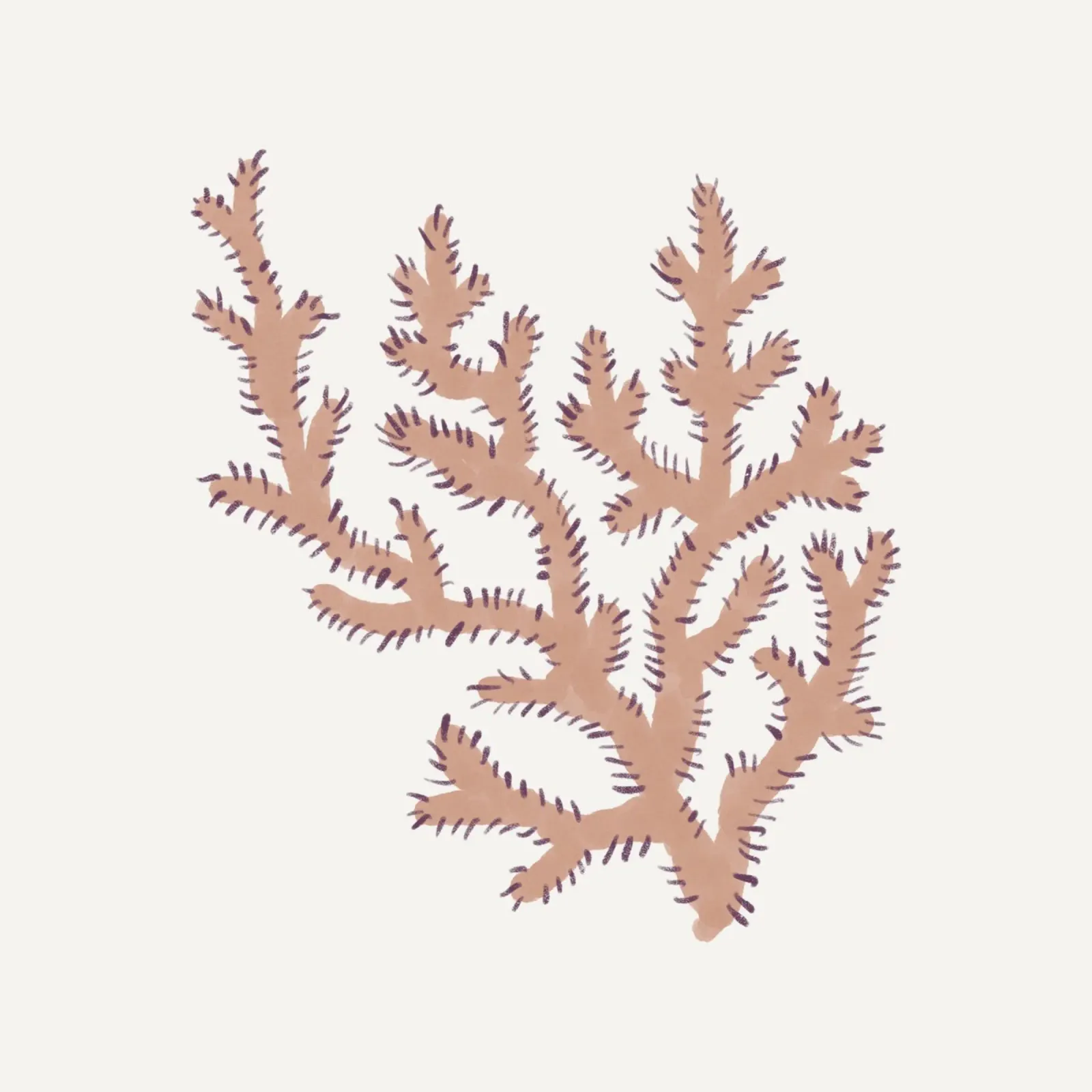 Sea Study No 37 (Square) poster con telaio in plastica da treechild