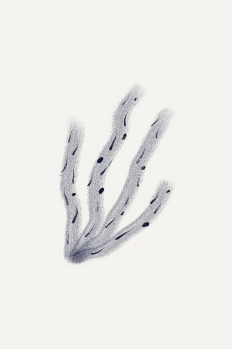 Sea Study No 38 poster con telaio in plastica da treechild