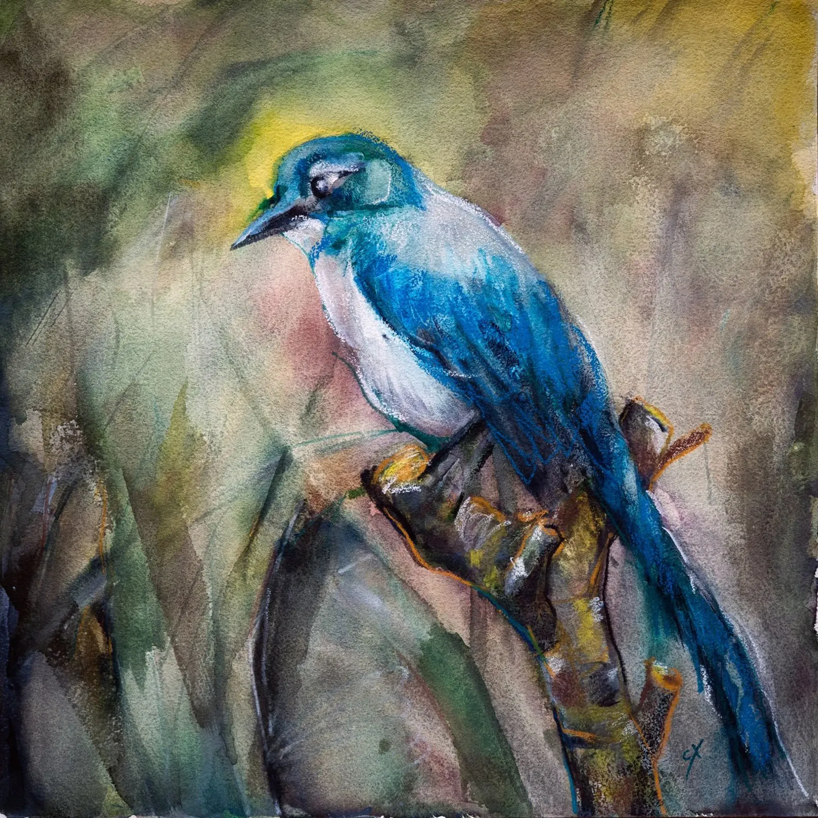 Blue Jay in the Morning Haze Poster mit Aluminium Rahmen von Stoian Hitrov