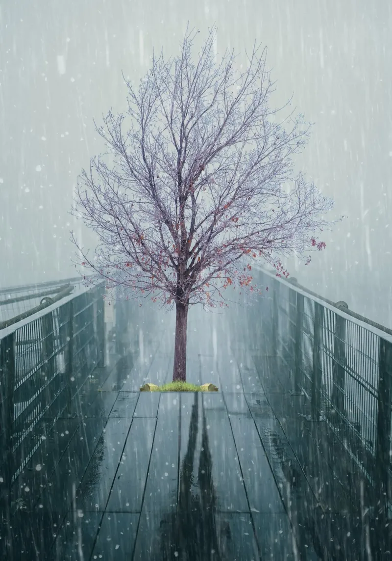 Albero su ponte con neve invernale tela con Cornice a cassetta da Berwies Artwork