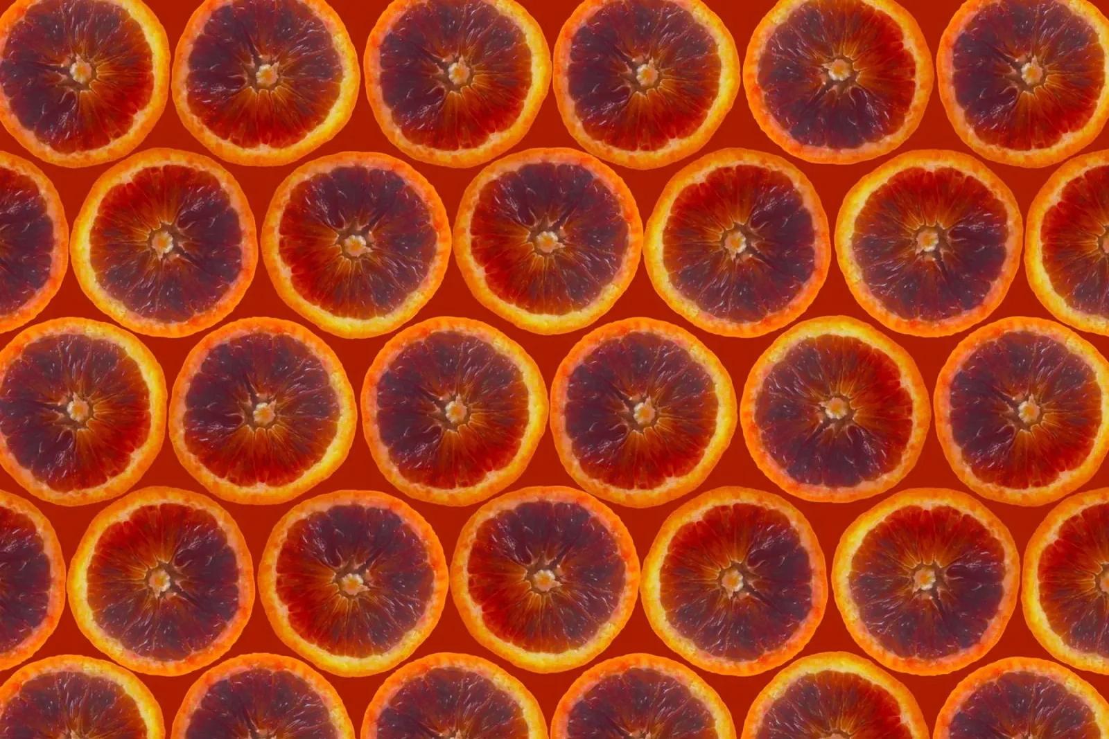 Griglia arancio sangue carta hahnemühle da StillVibe Home