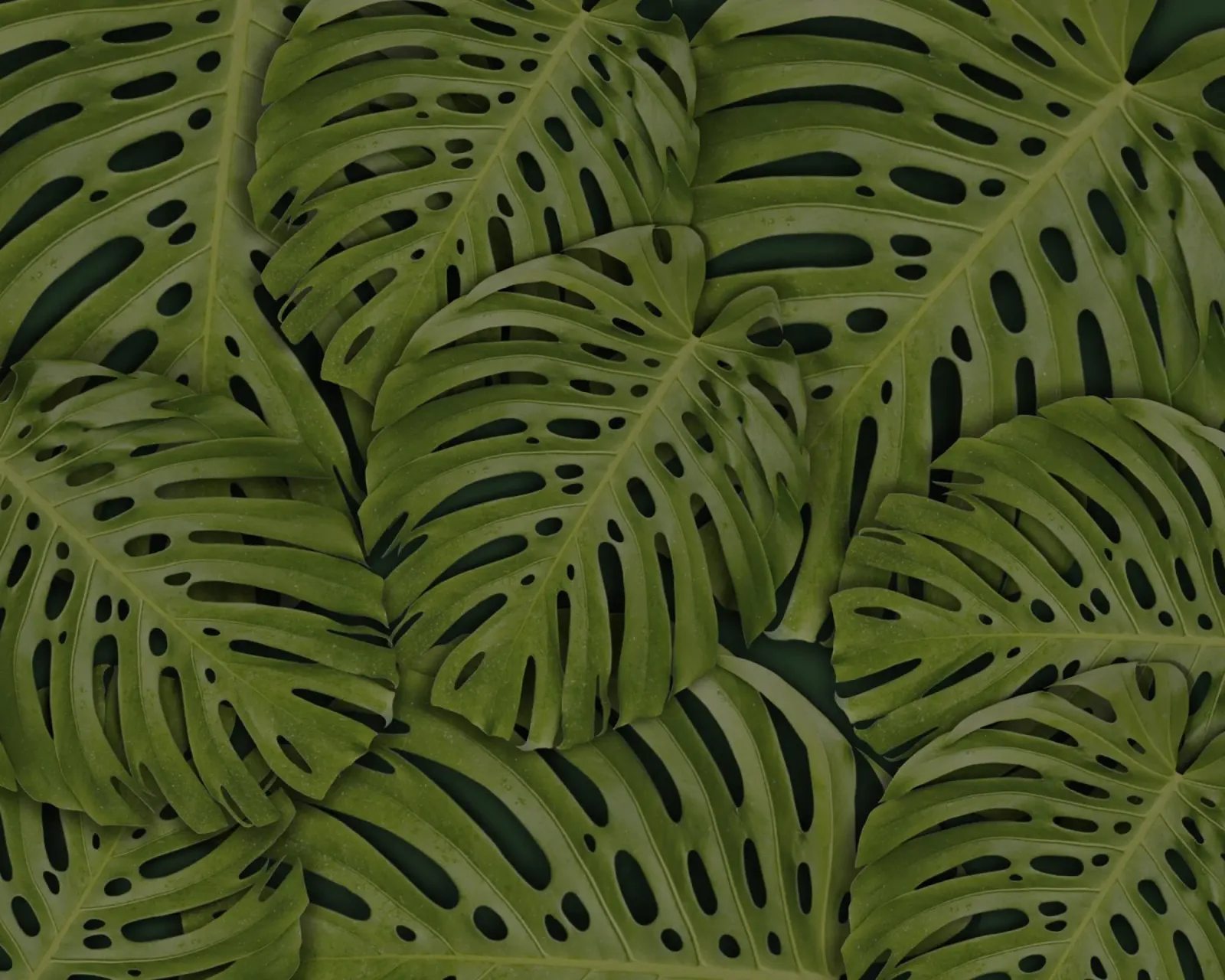 Jungle Pattern poster da StillVibe Home