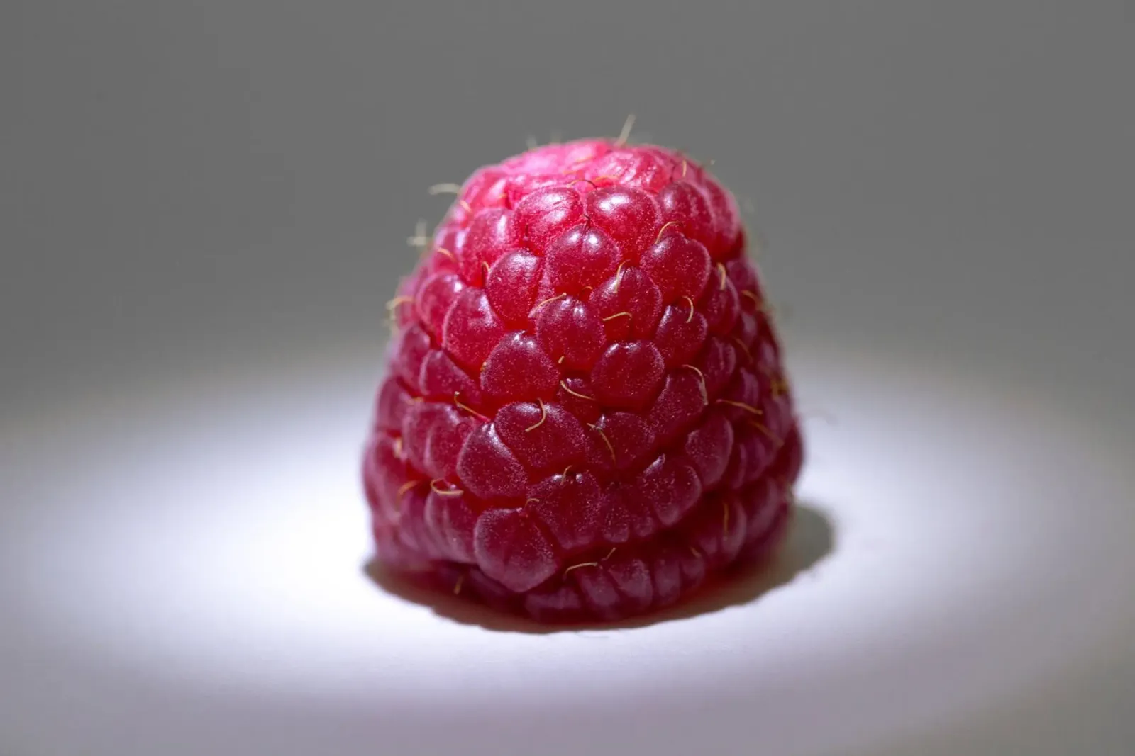 Pleins feux sur les framboises poster de StillVibe Home
