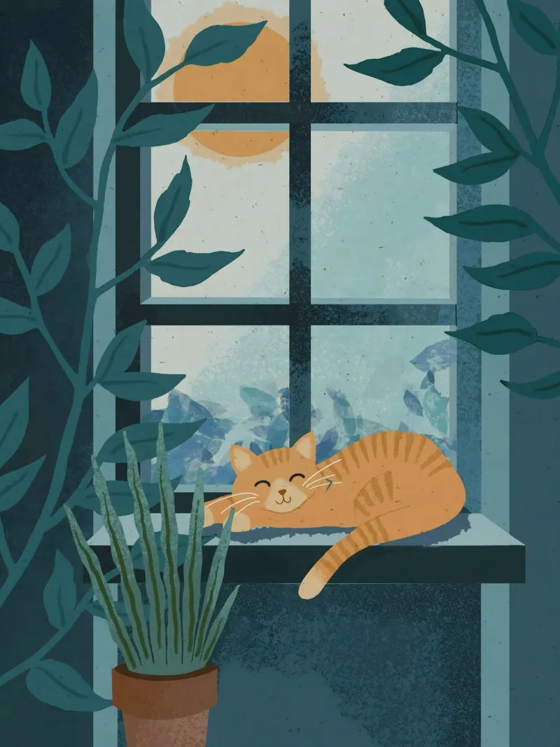 Cat on Window pellicola backlit da cafelab