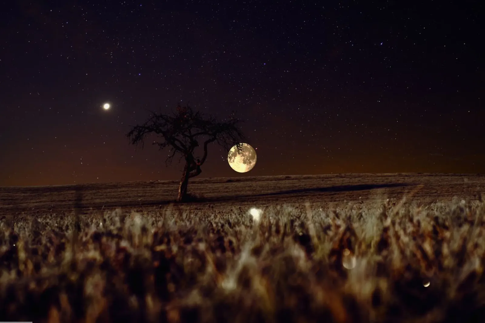 bright moon pellicola backlit da Histrol