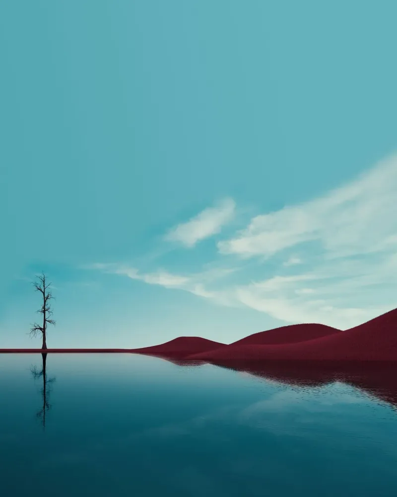 minimal calm nature metacrilato de Histrol