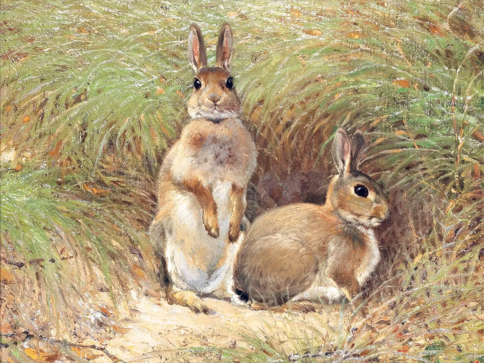 Rabbits plexiglass da apoloprints
