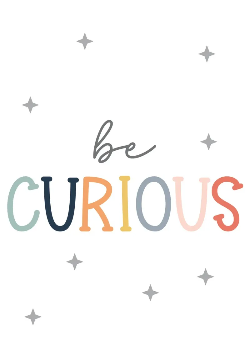 Be curious alu-dibond by vintageshop