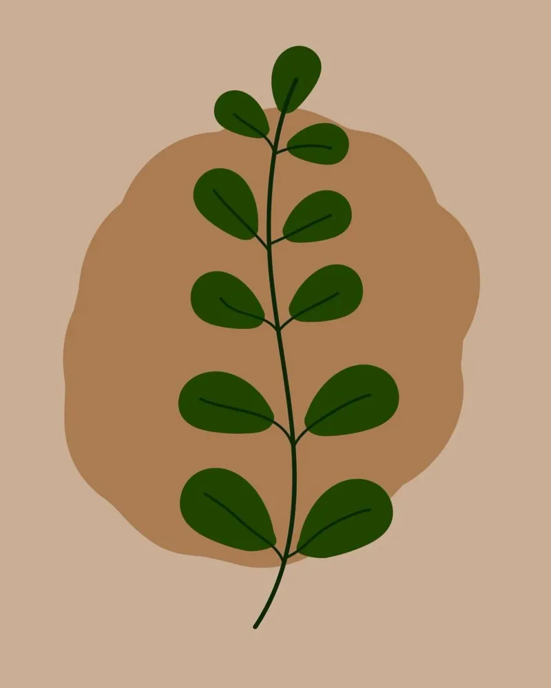 minimalist isolated leaf pellicola backlit da Histrol