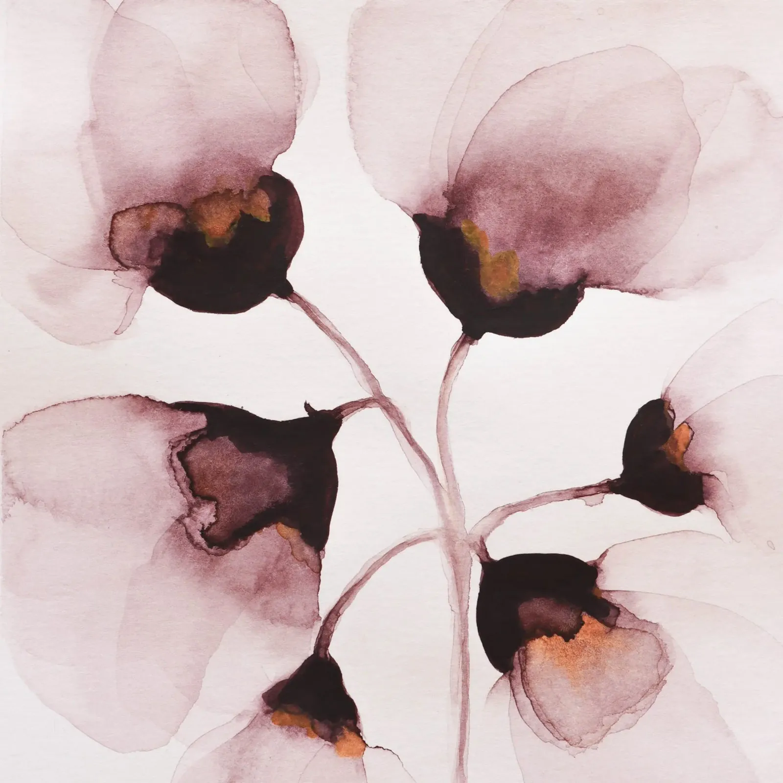 Blume Aquarellmalerei in staubigem Rosa Poster mit Kunststoffrahmen von Ingrid Beddoes