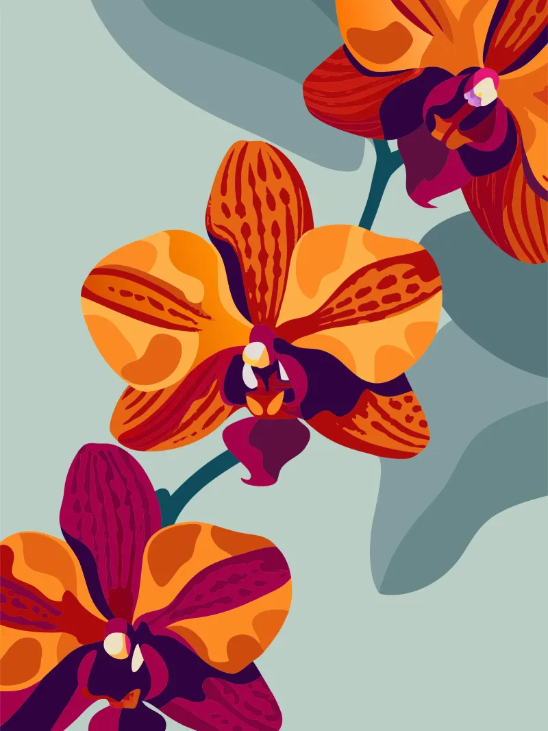 Fiore di orchidea poster da HAPPY SHOP