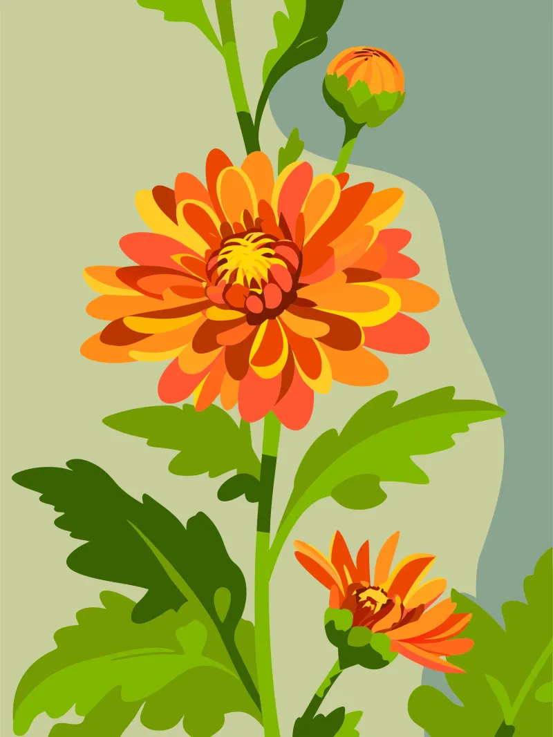 Crisantemo poster con telaio in alluminio da HAPPY SHOP