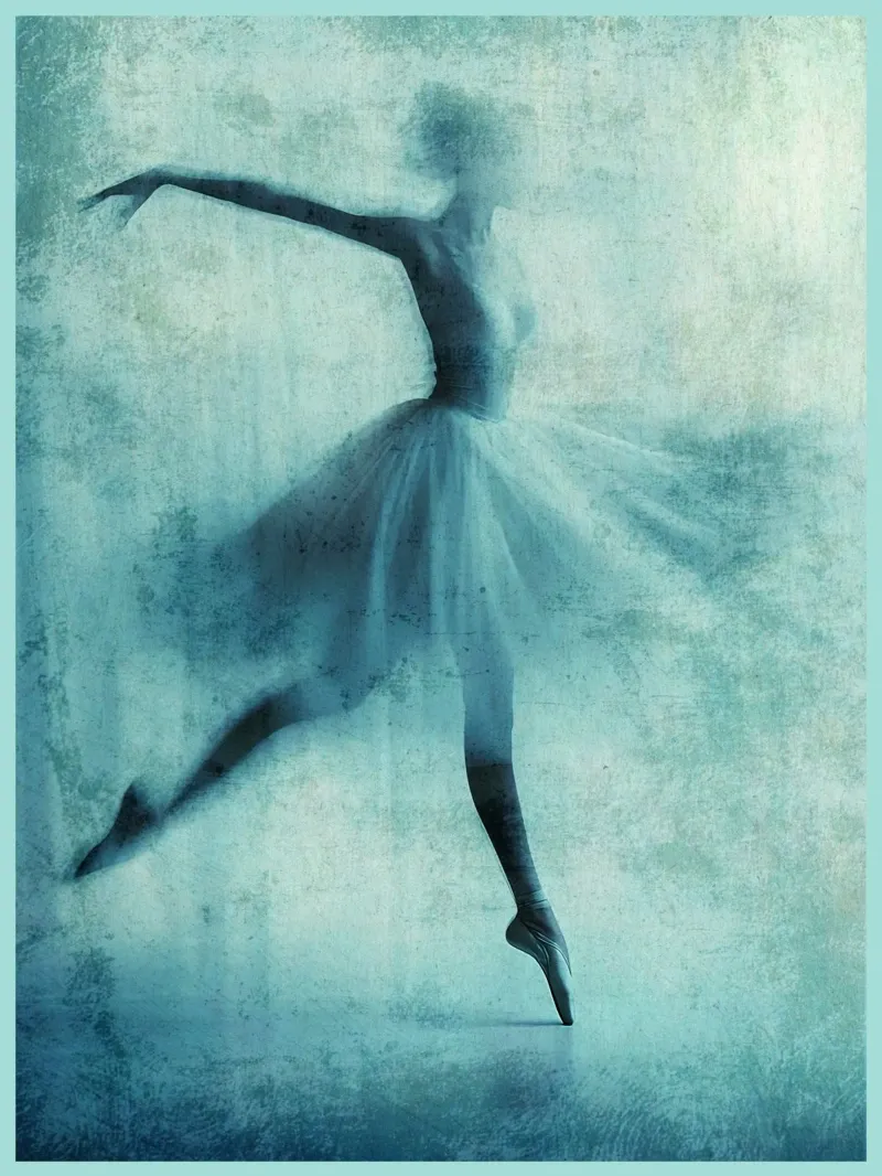 Ballet Dancer blauw grijs silhouet hahnemühle van David Studio