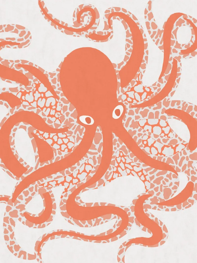 Coral Abstract Octopus backlit film by Asha Designs