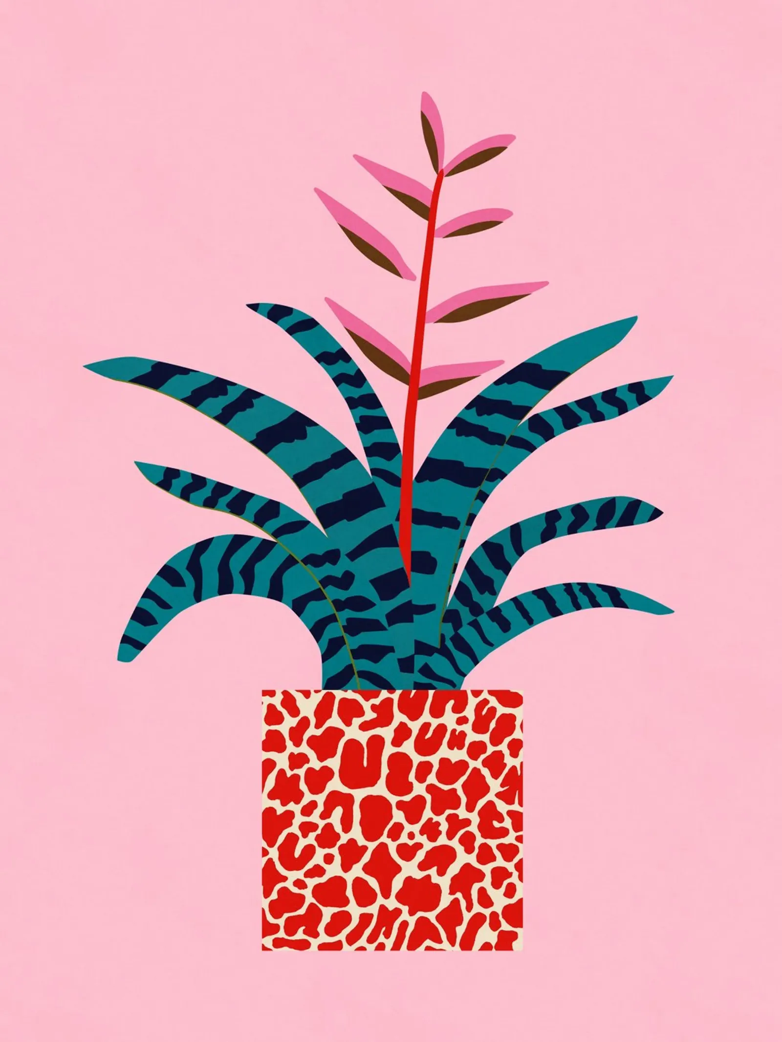 Bromeliade pellicola backlit da Asha Designs