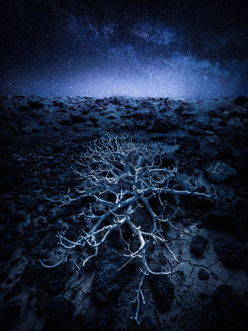 Starfallen poster da somewhere.soul.escape