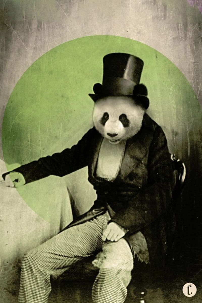 Proper Panda pellicola backlit da Chase Kunz