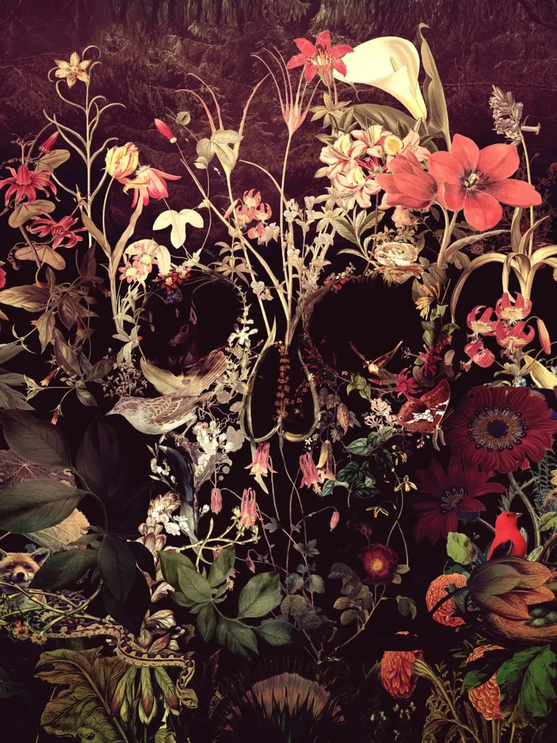 Bloom Skull pellicola backlit da Ali Gulec