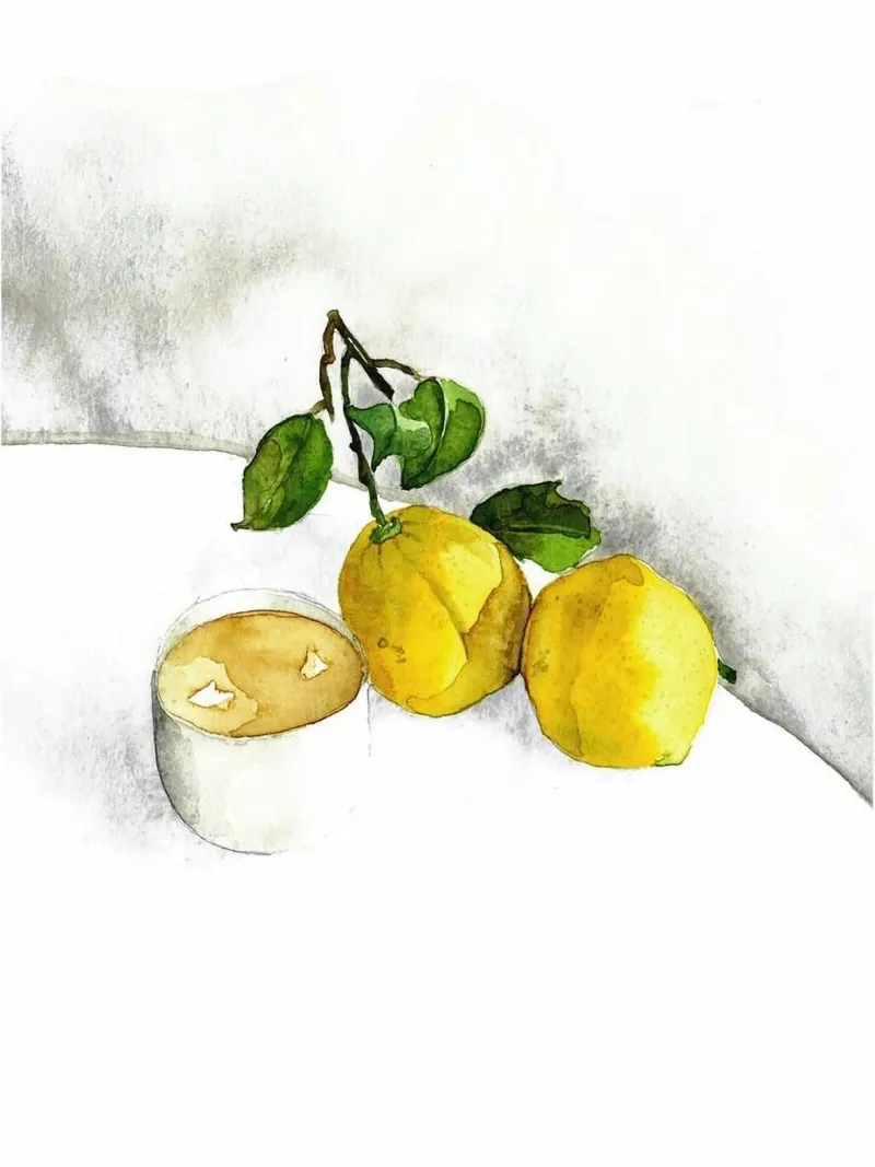 Limoni pellicola backlit da Oscar Shaw