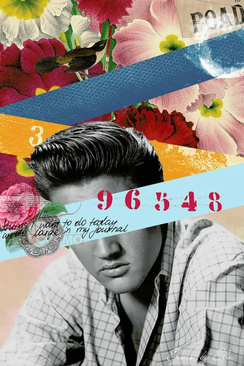 Public Figures: Elvis carta hahnemühle da Elo Marc