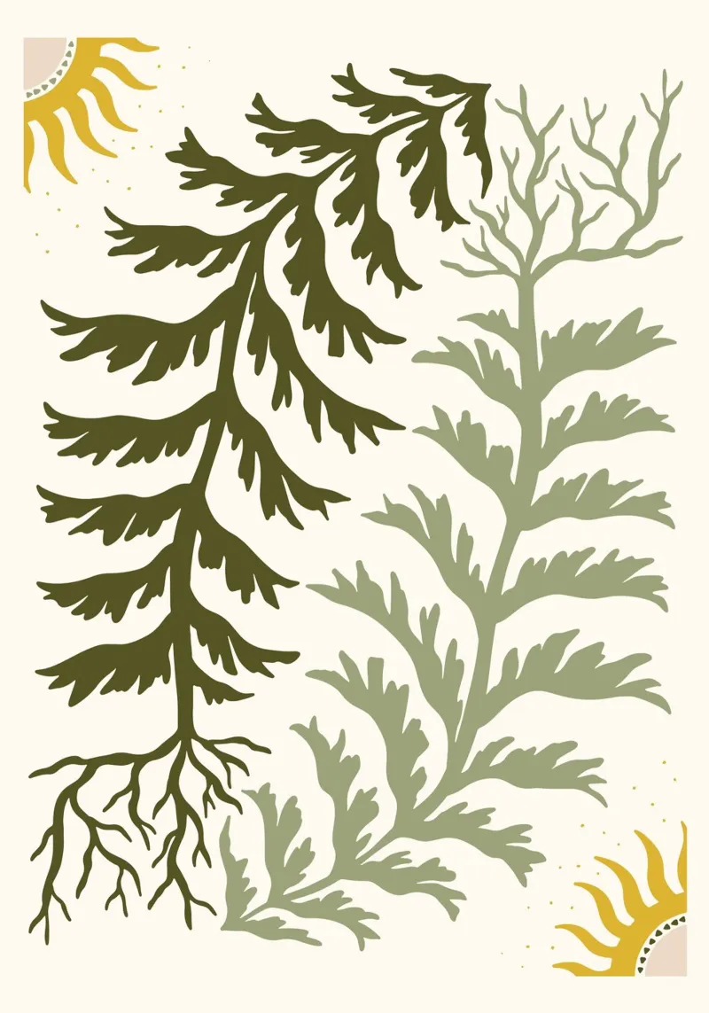 Sun and Seaweed poster con marco de plástico de vintageshop