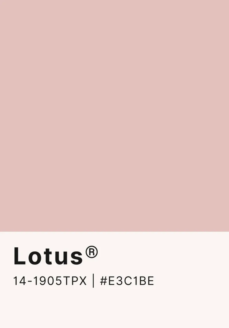 Pantone Lotus - Minimalistische Farbblockkunst Poster von homdeco