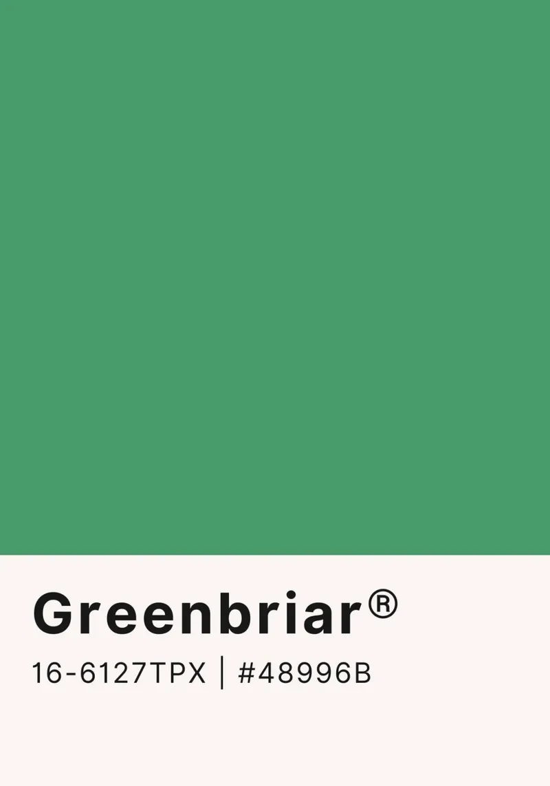 Pantone Greenbriar - Minimalistische Farbblockkunst Poster von homdeco