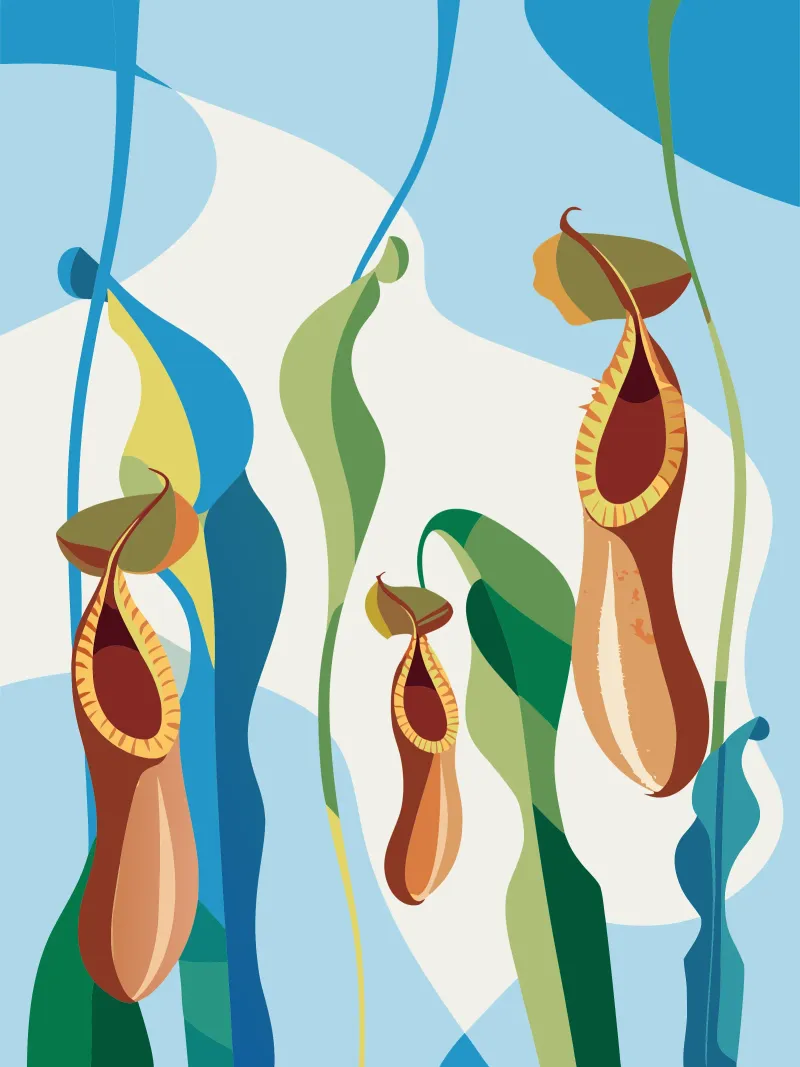 Fiore di Nepethes poster da HAPPY SHOP