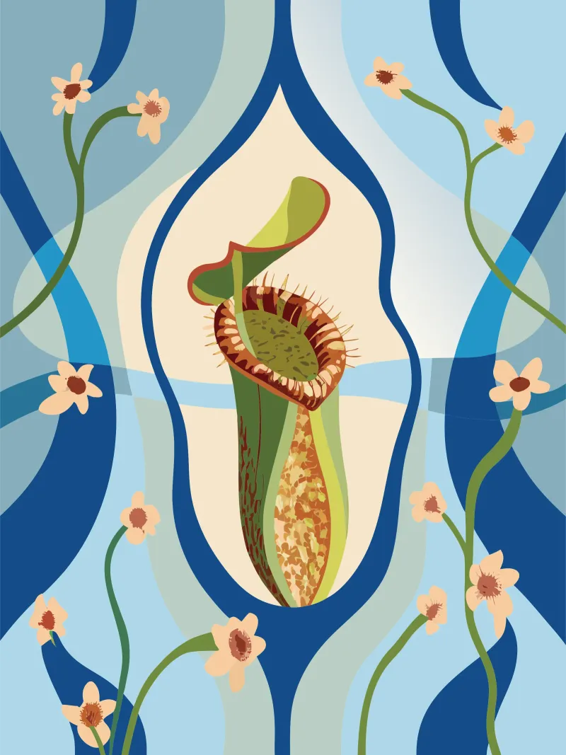 Fiore di Nepethes poster da HAPPY SHOP