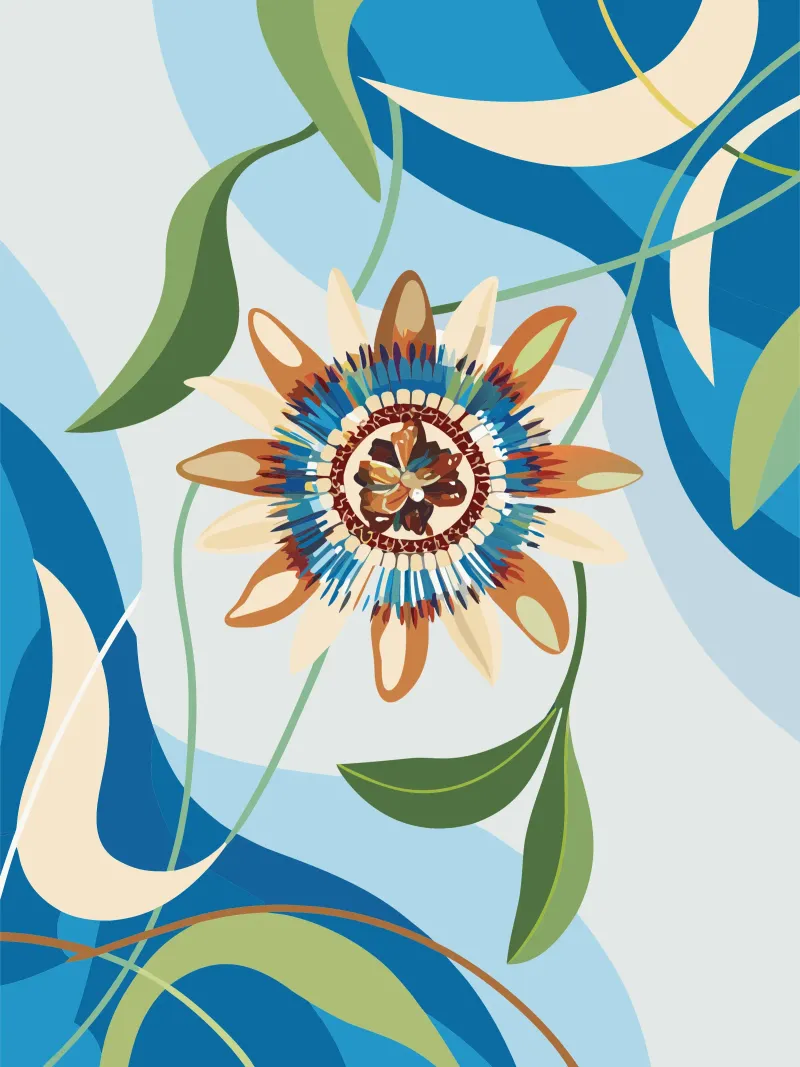Nymphaea Tetragona Fiore poster da HAPPY SHOP