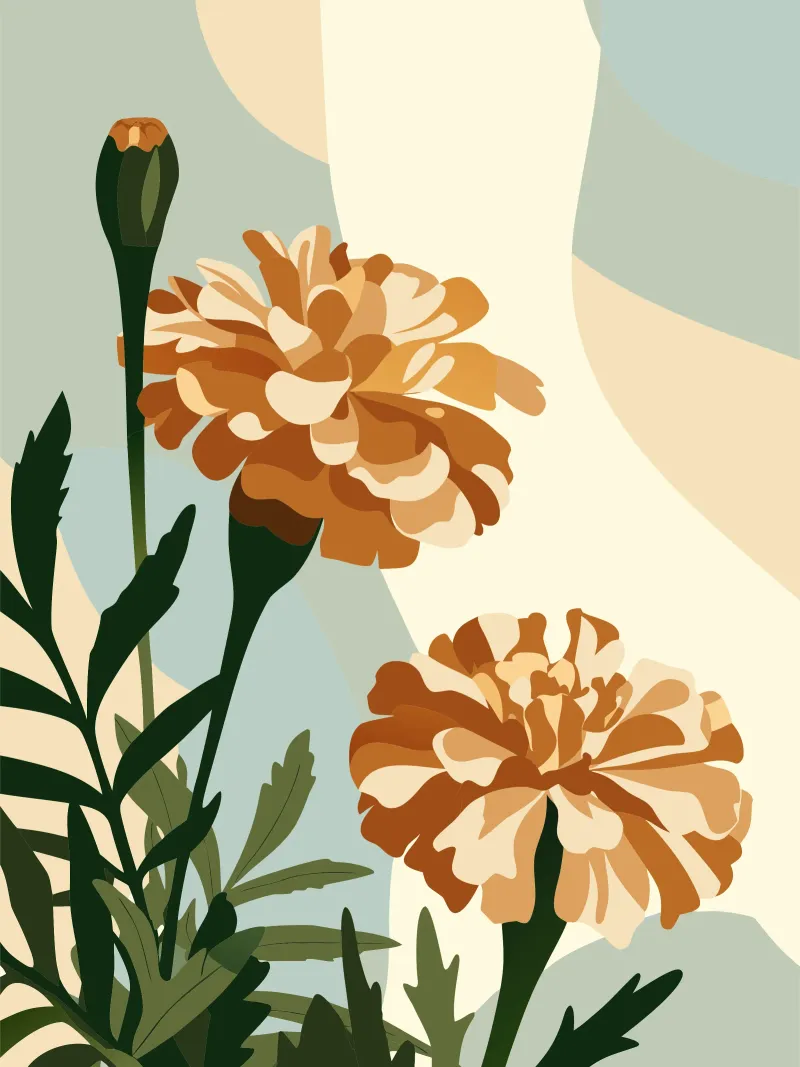 Tagetes Erecta Fiore tela con Cornice a cassetta da HAPPY SHOP