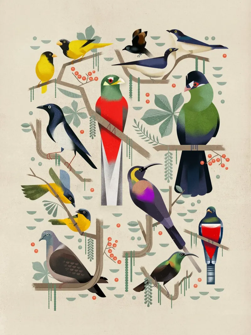 Uccelli poster da Dieter Braun