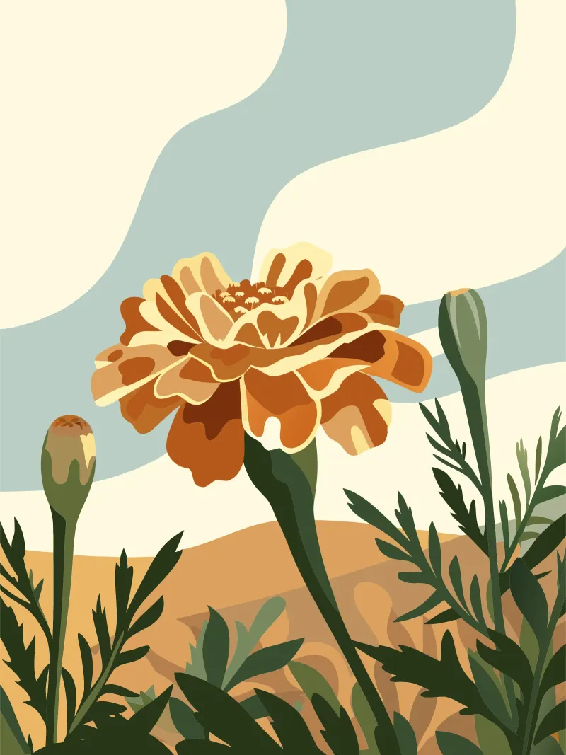 Tagetes Erecta Fiore tela con Cornice a cassetta da HAPPY SHOP