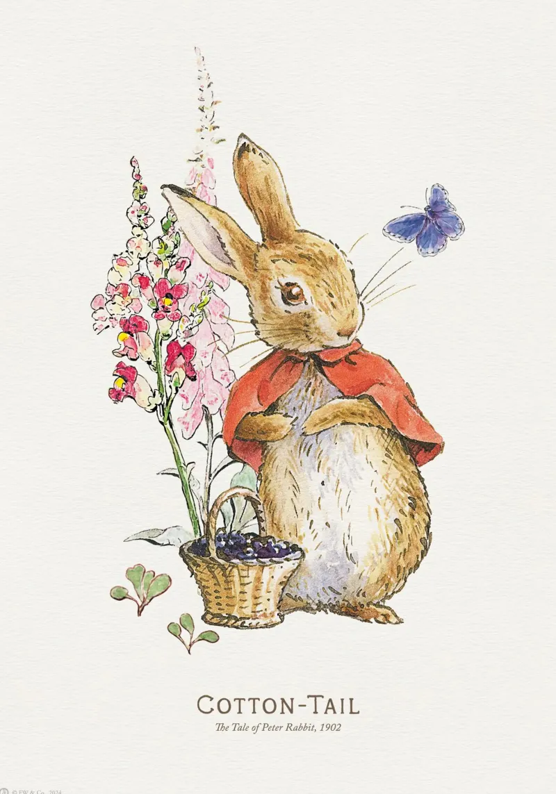 Peter Rabbit - Illustrazione di Cotton Tail poster da muench benjamin