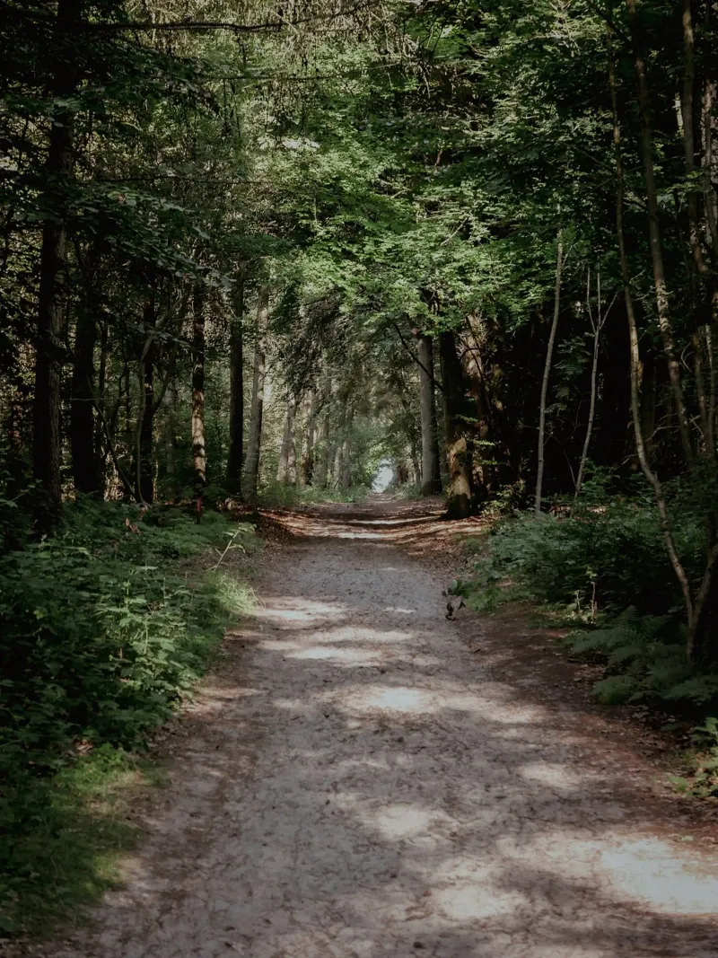 The journey is the destination canvas with Floater frame by Janine Sommer Fotografie