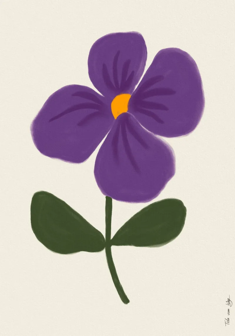Semplice fiore viola poster con telaio in alluminio da Tida vom Weg