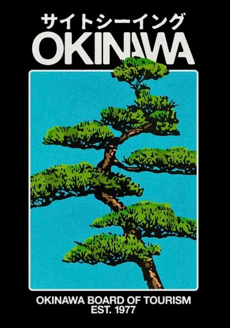Ente del turismo di Okinawa tela con Cornice a cassetta da HKS JAPANESESTORE