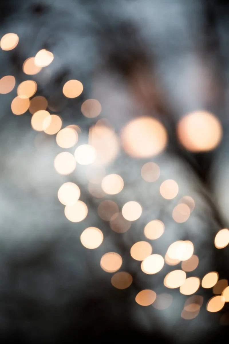 Winter Lights hahnemühle by Mareike Böhmer Photography