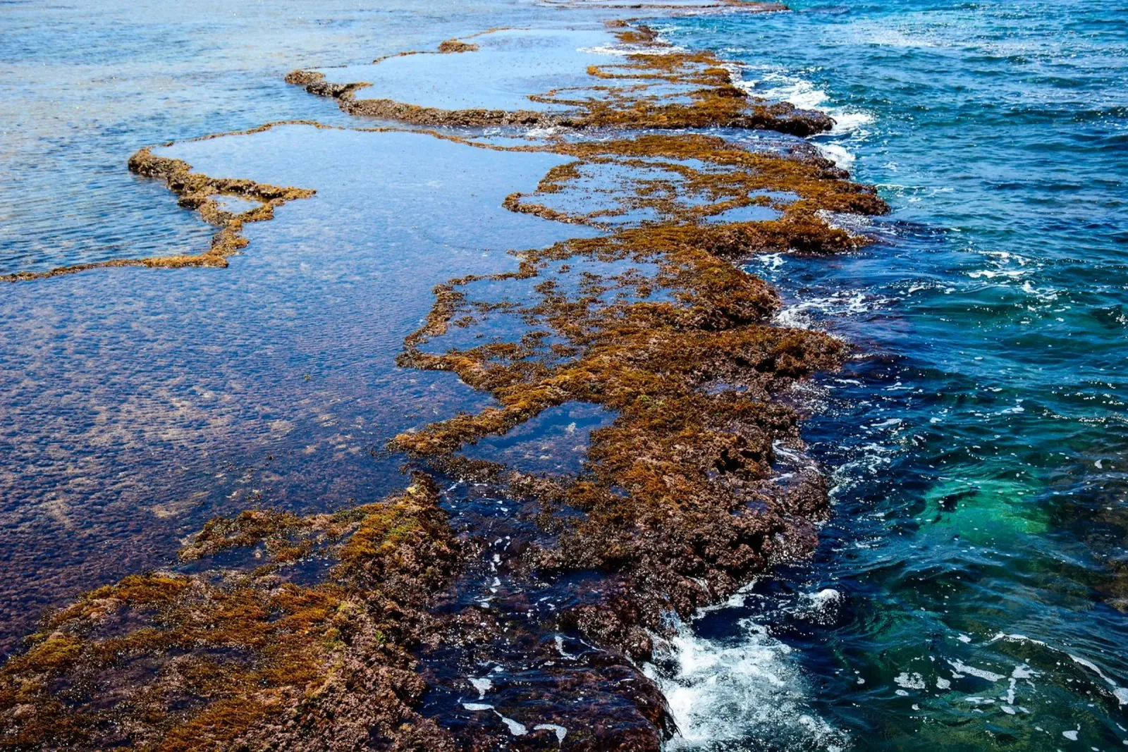 Spiaggia Sdot Yam #3 poster con telaio in plastica da Tal Paz-Fridman