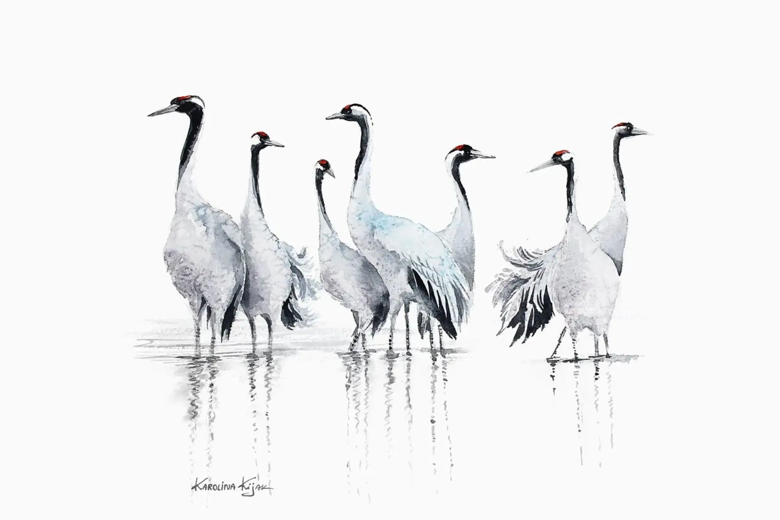 Common cranes composition alluminio dibond da Karolina Kijak