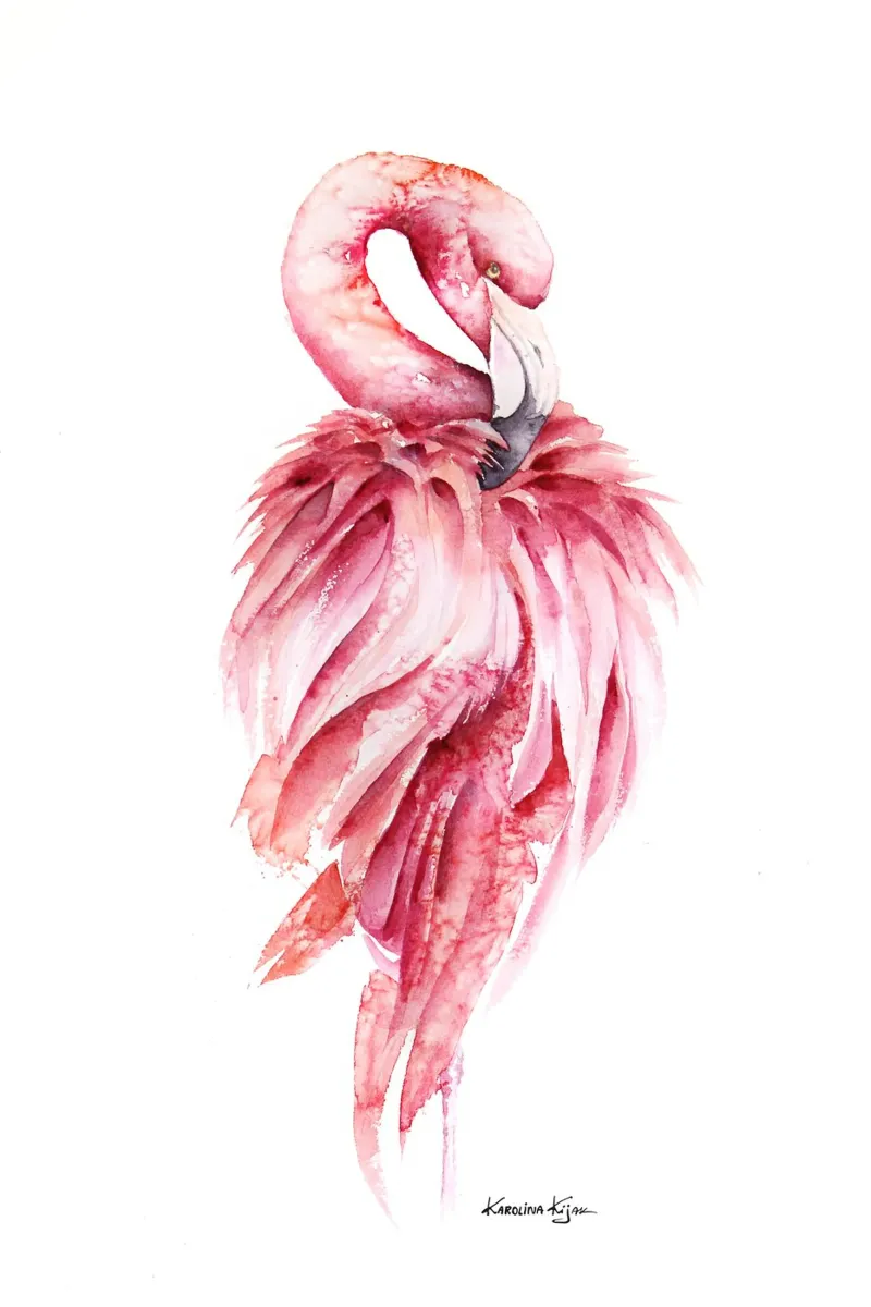 Pink flamingo carta hahnemühle da Karolina Kijak