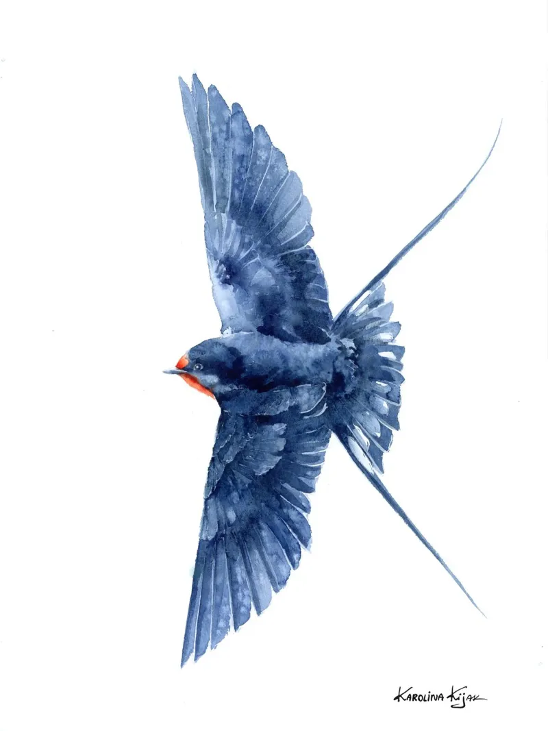 Flying barn swallow plexiglass da Karolina Kijak