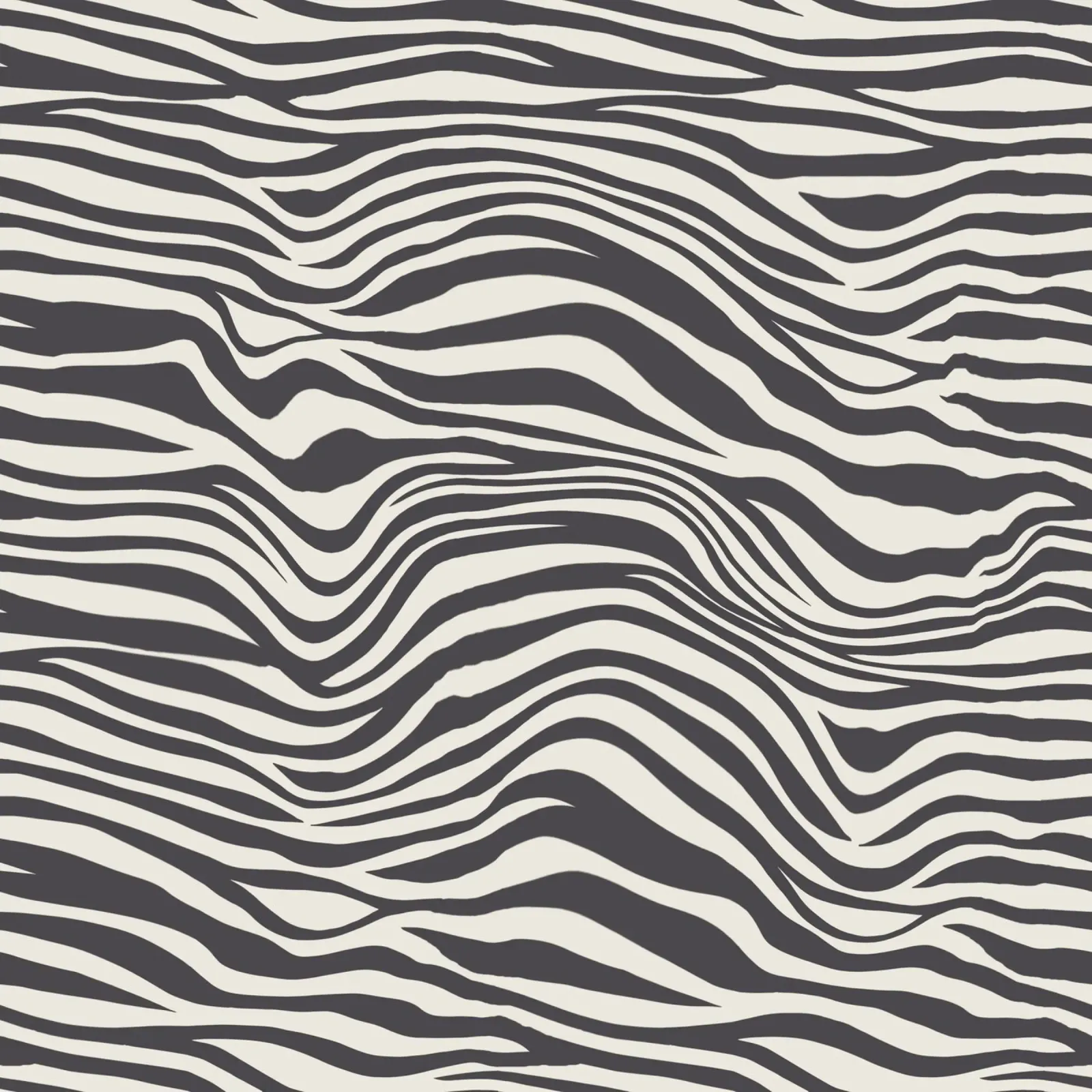 Modello animale 12 poster con telaio in legno da Yaso Design Animal