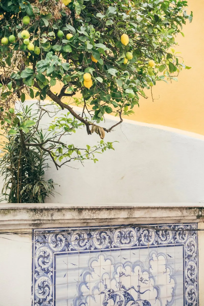 Lisbon Lemon Tree poster con telaio in legno da patiphotography